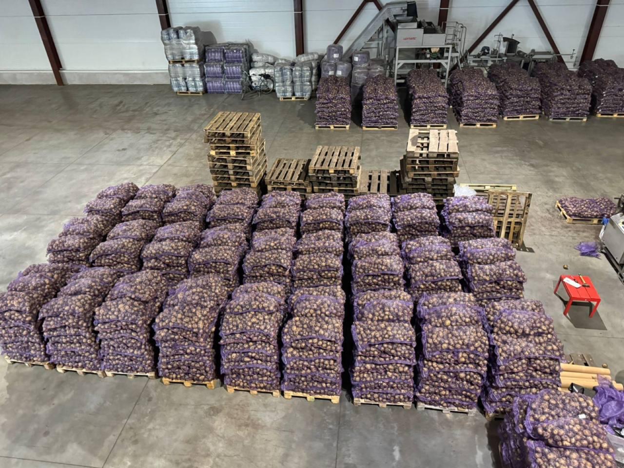 AGROLIFE potato bags prepared for storage and shipment
